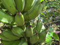 IMG_8803photo-2