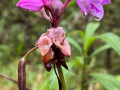 IMG_8866photo-2