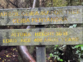 IMG_8903photo-2