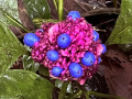 IMG_8908photo-2