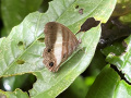 IMG_8916photo-2