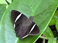 IMG_8920photo-2