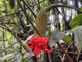 IMG_8945photo-3