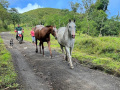IMG_8968photo-2