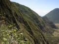 DSC01171(2)