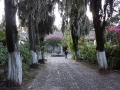 DSC01285(2)