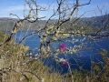 DSC01373(2)