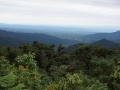 DSC01496(2)