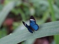 DSC01557(2)