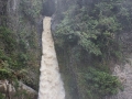 DSC01704(2)