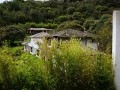 DSC01724(2)