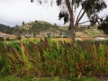 DSC01968(2)