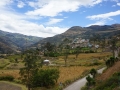 DSC01988(2)