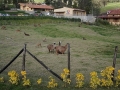 DSC02028(2)