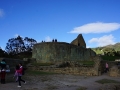 DSC02037(2)