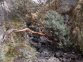 DSC02174(2)