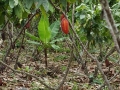 DSC02206(2)