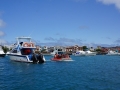 DSC02263(2)