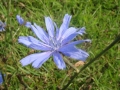 2011 07 11 098