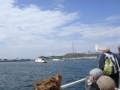 2011 07 17 003