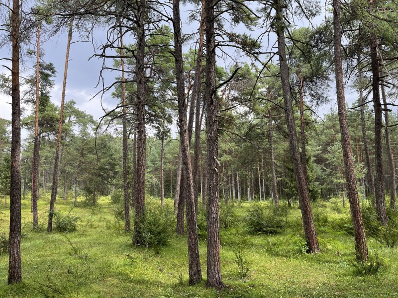 20260816_120100583_iOS
