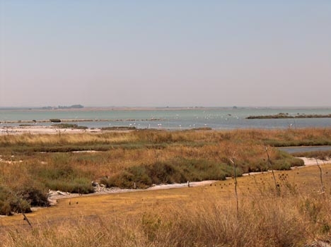 Blick in die Salinen mit Flamingos Blick in die Salinen mit Flamingos