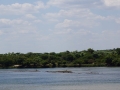 DSC07819
