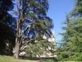 Dornröschenschloss Ussé