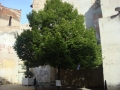dsc00266