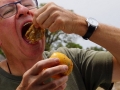 UNADJUSTEDNONRAW_thumb_ac4