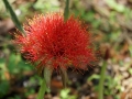 DSC07902